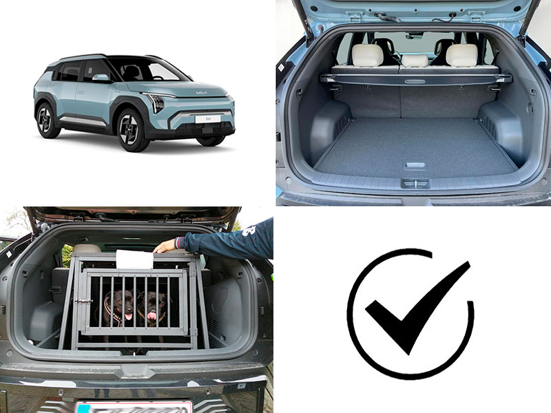 (ab ca. 2024 -> heute)