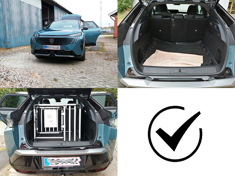 (ab ca. 2024 -> heute)