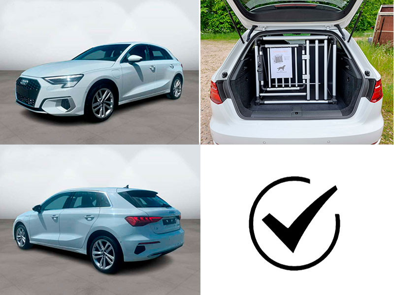 8Y e-tron (ab ca. 2021 -> heute)