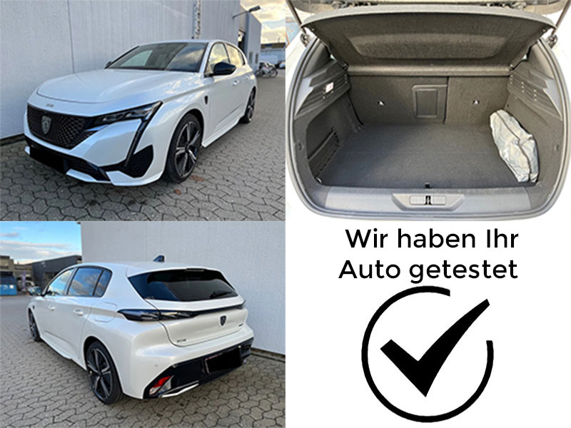 3. gen EV (ab ca. 2023 -> heute)
