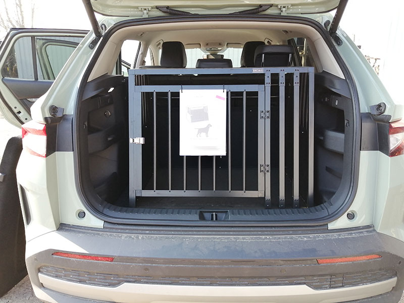 Example of (ab ca. 2025 ->  heute)