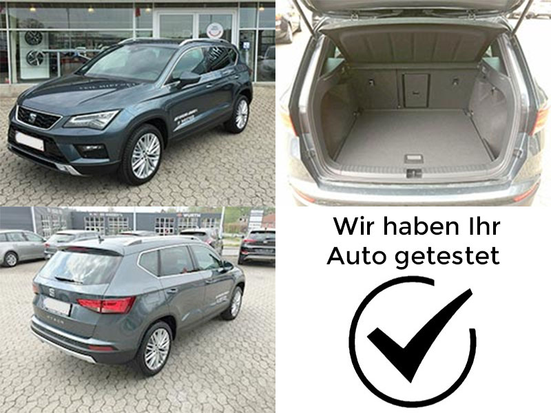 (ab ca. 2016 ->  heute)